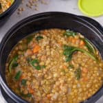 lentil spinach soup in plastic bowl